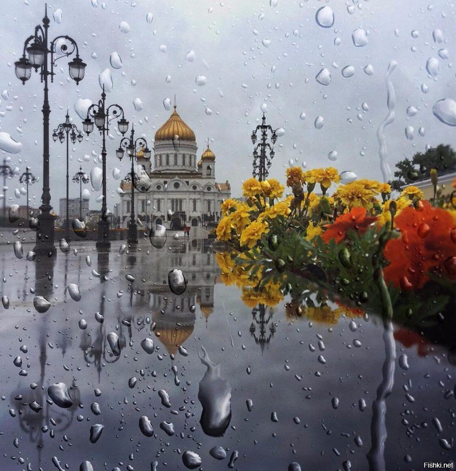 Доброе утро весна дождик картинки
