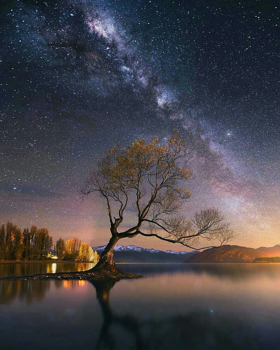 Лунная ночь