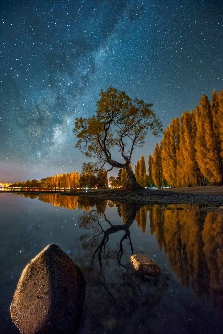 Лунная ночь