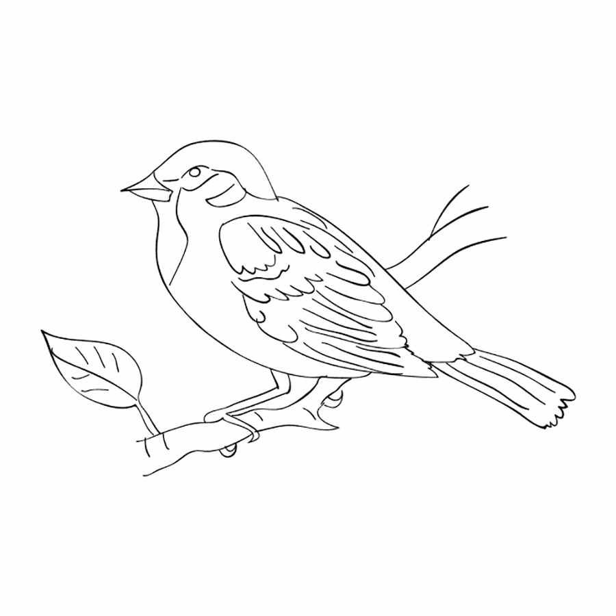 Птичка для раскрашивания детям