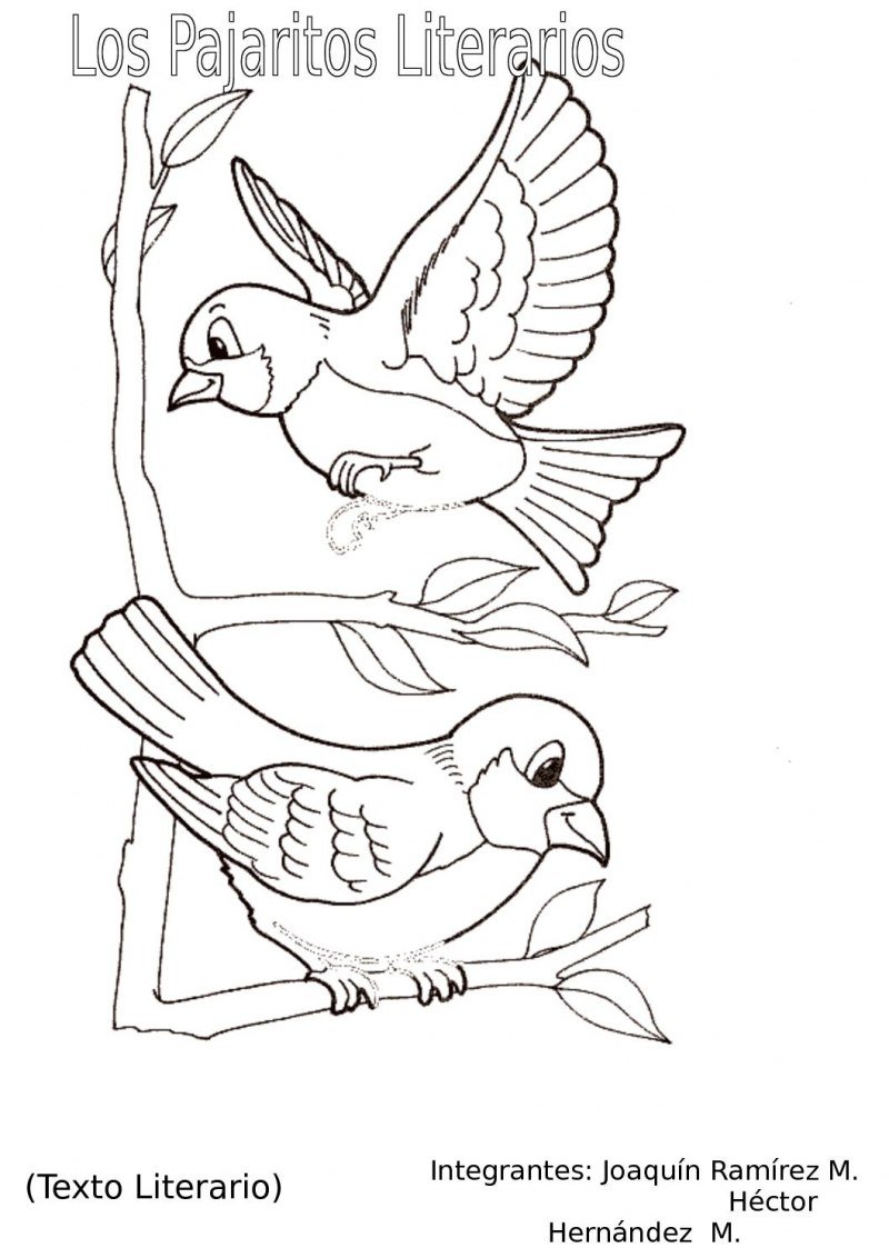 Раскраска птицы Воробей