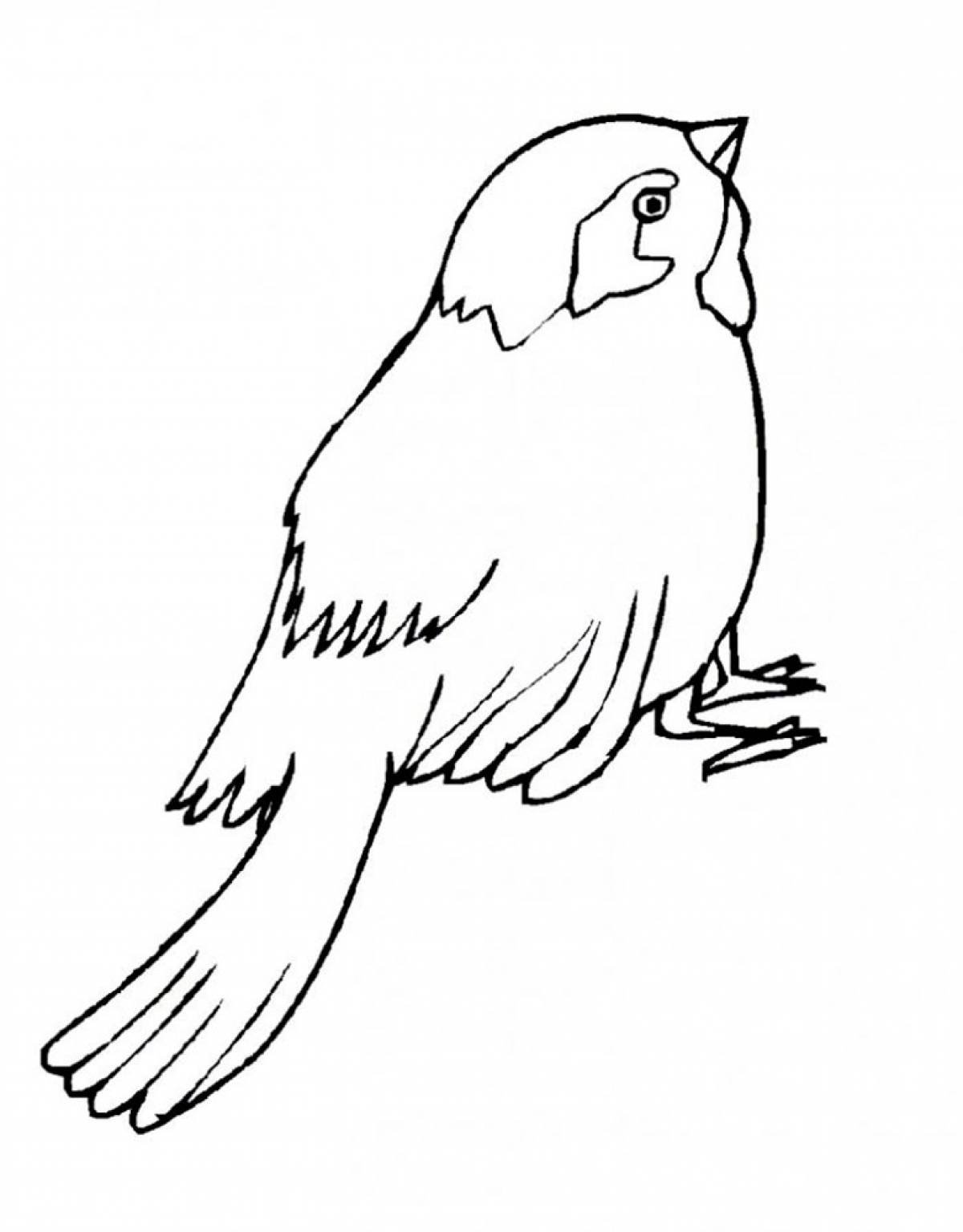 Воробей карандашом на прозрачном фоне