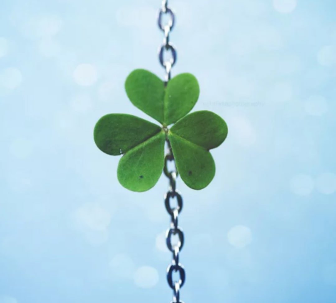 Четырёхлистный Клевер символ удачи