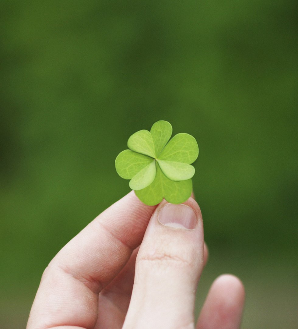 Клевер четырехлистный фэнтези