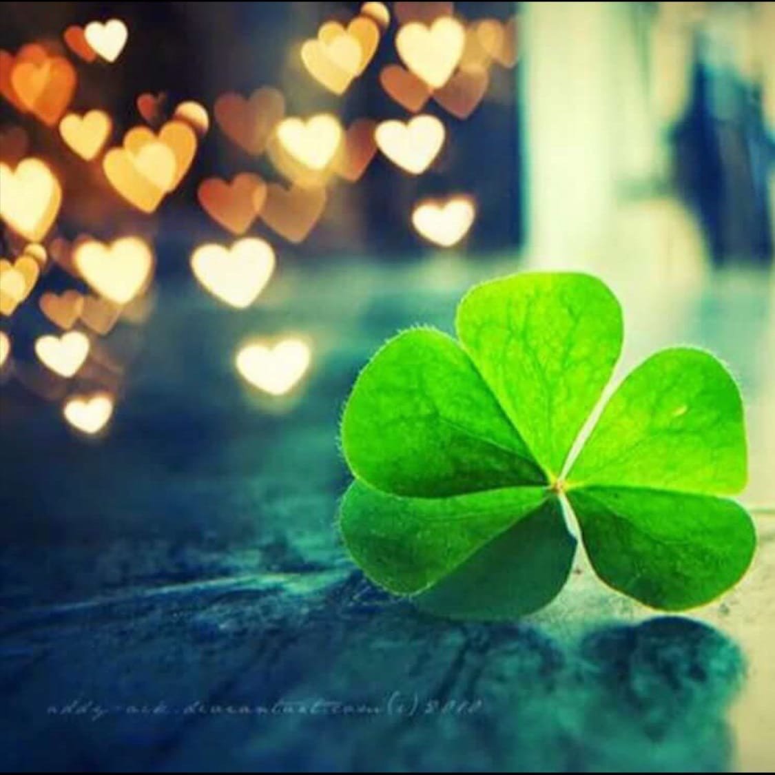St Patrick Clover