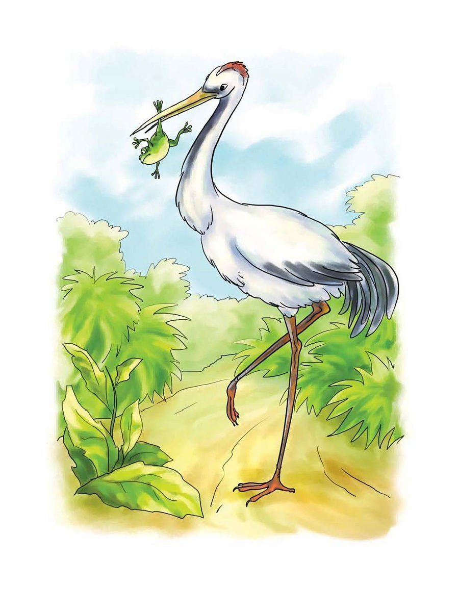 Цапля и журавль 1974