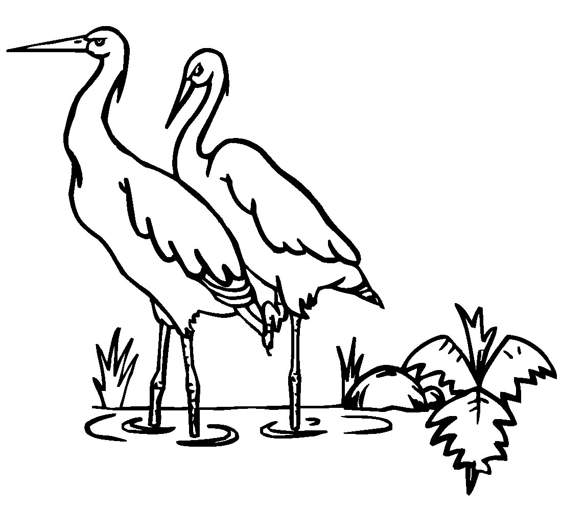 Рисунок Цапли схематически