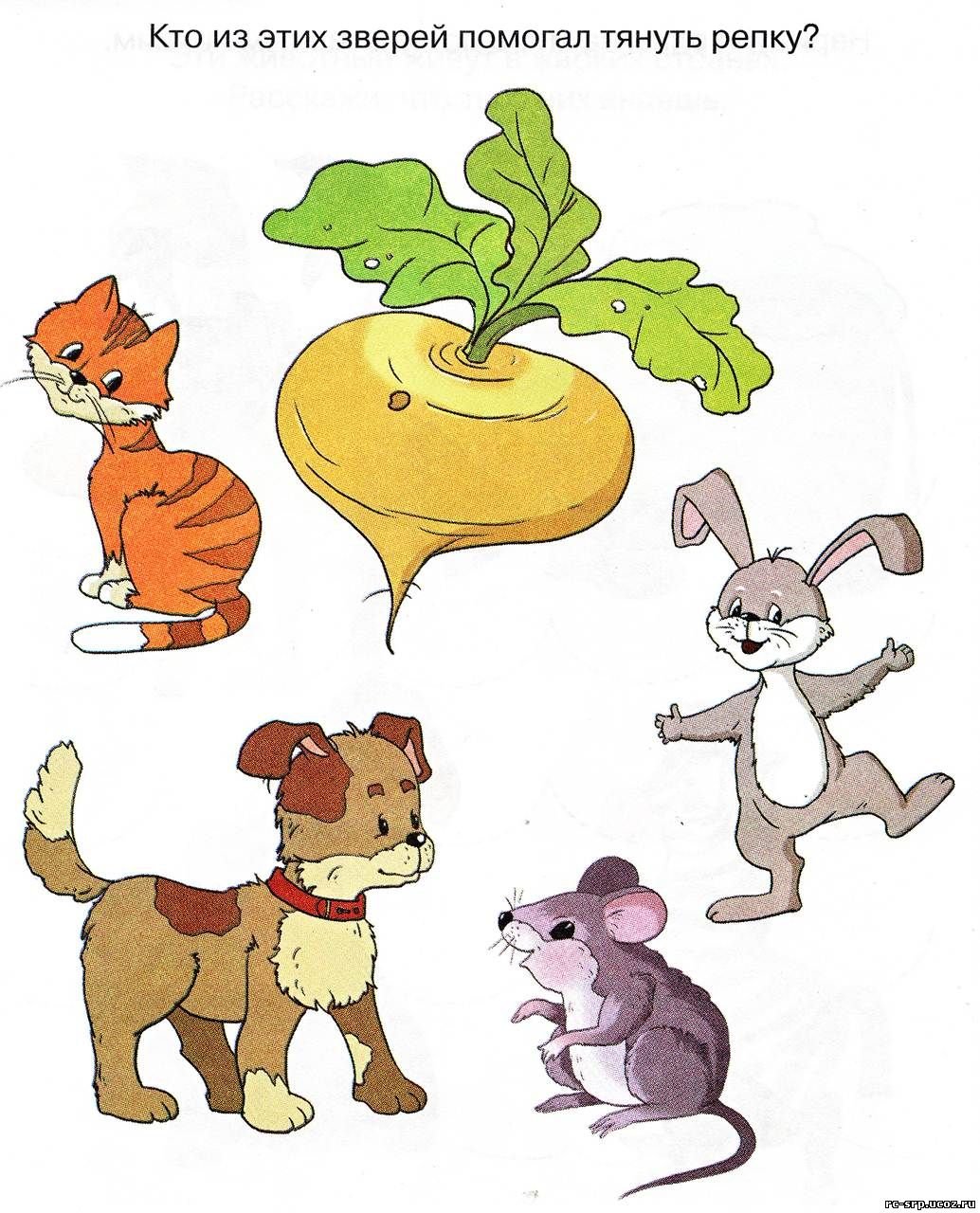 Герои Репки дед