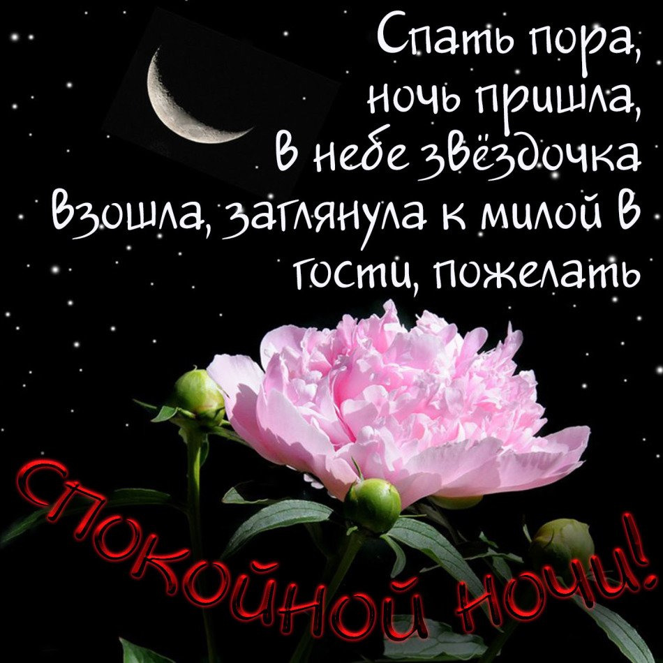 Спокойной ночи с мудрыми пожеланиями картинки