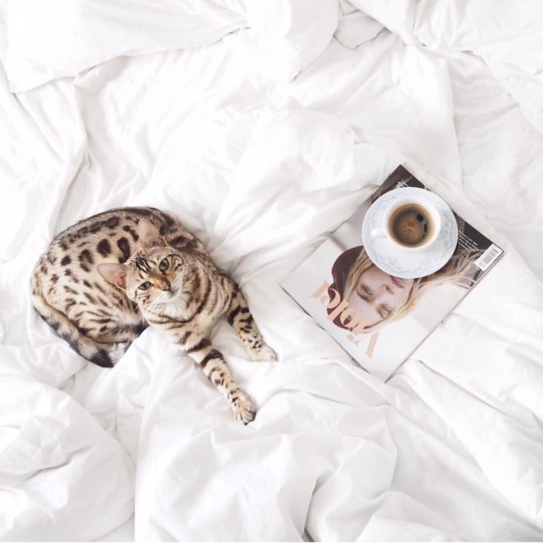 Утро воскресенья