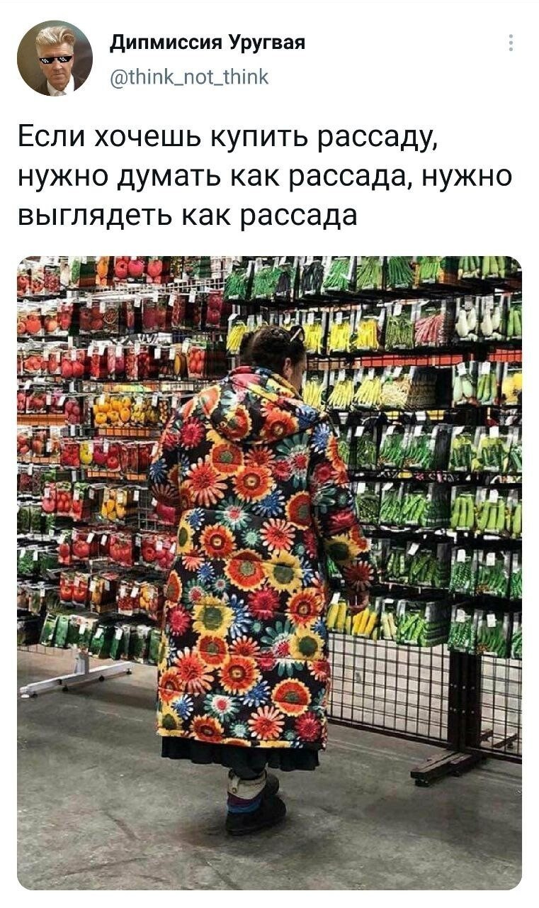Надо думать как рассада