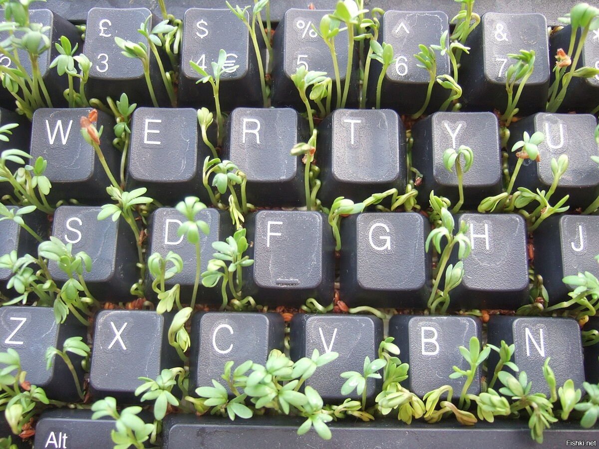 День дачника