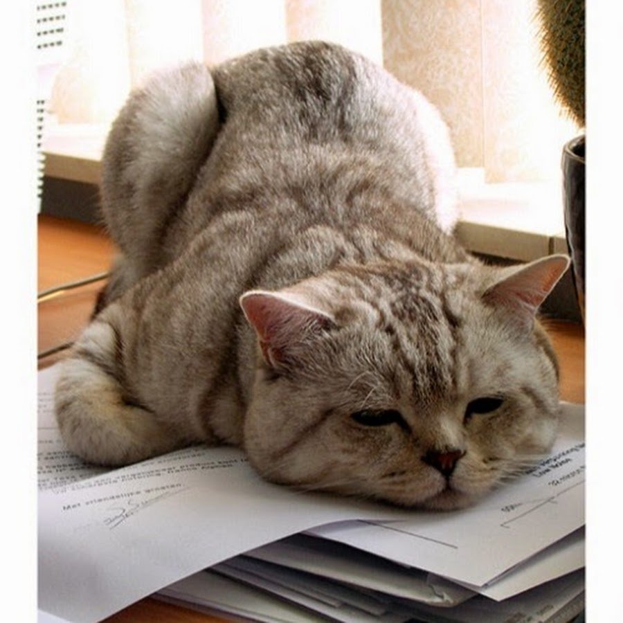 Ура суббота