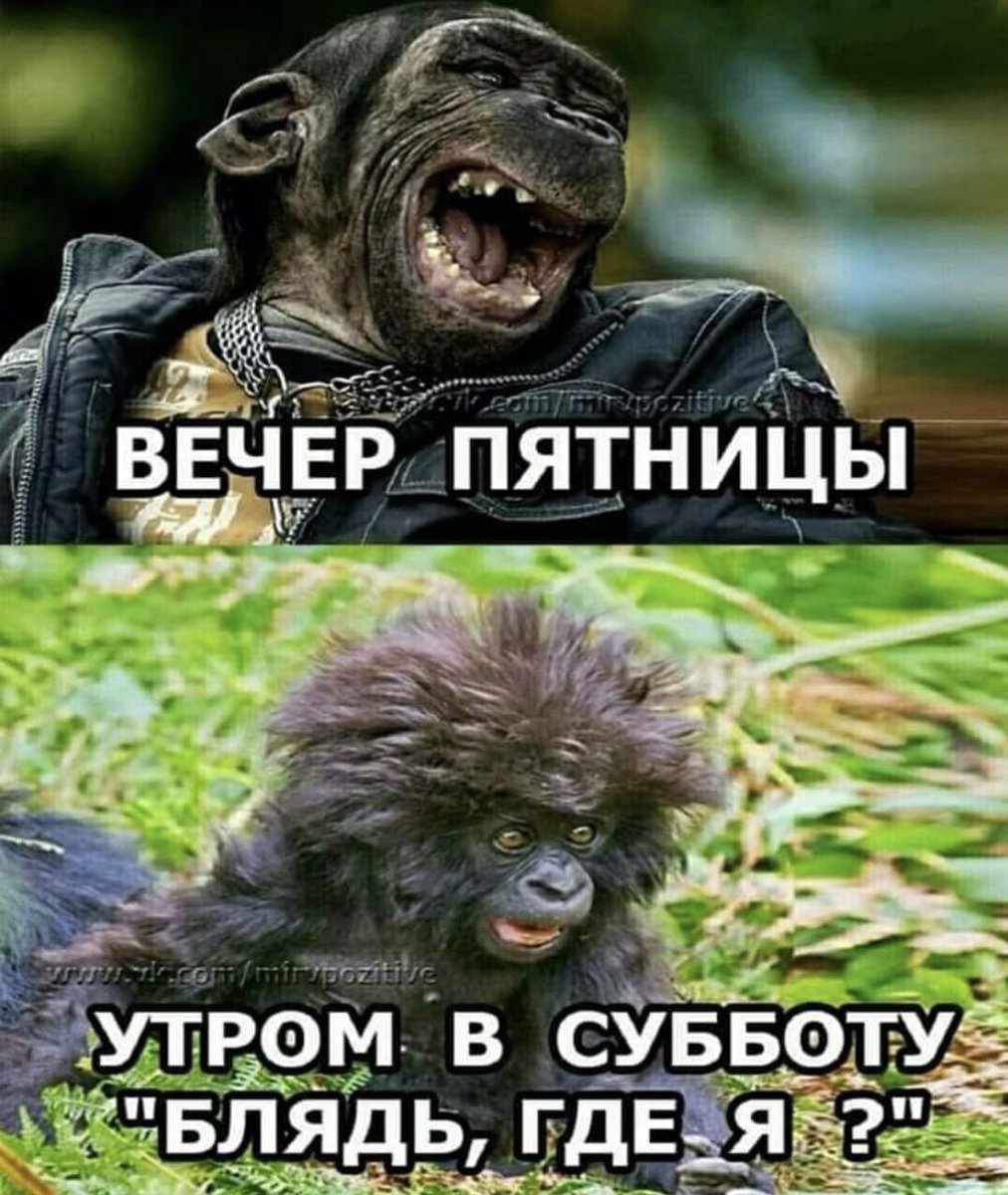 Ура пятница