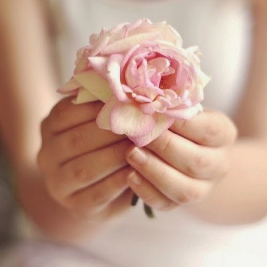 Нежные цветы в ладонях