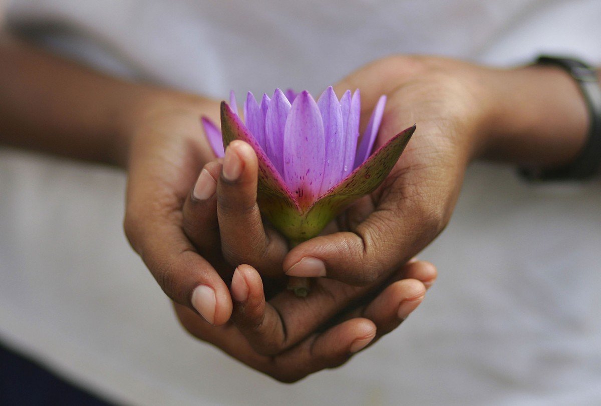 Цветок лотоса в руках