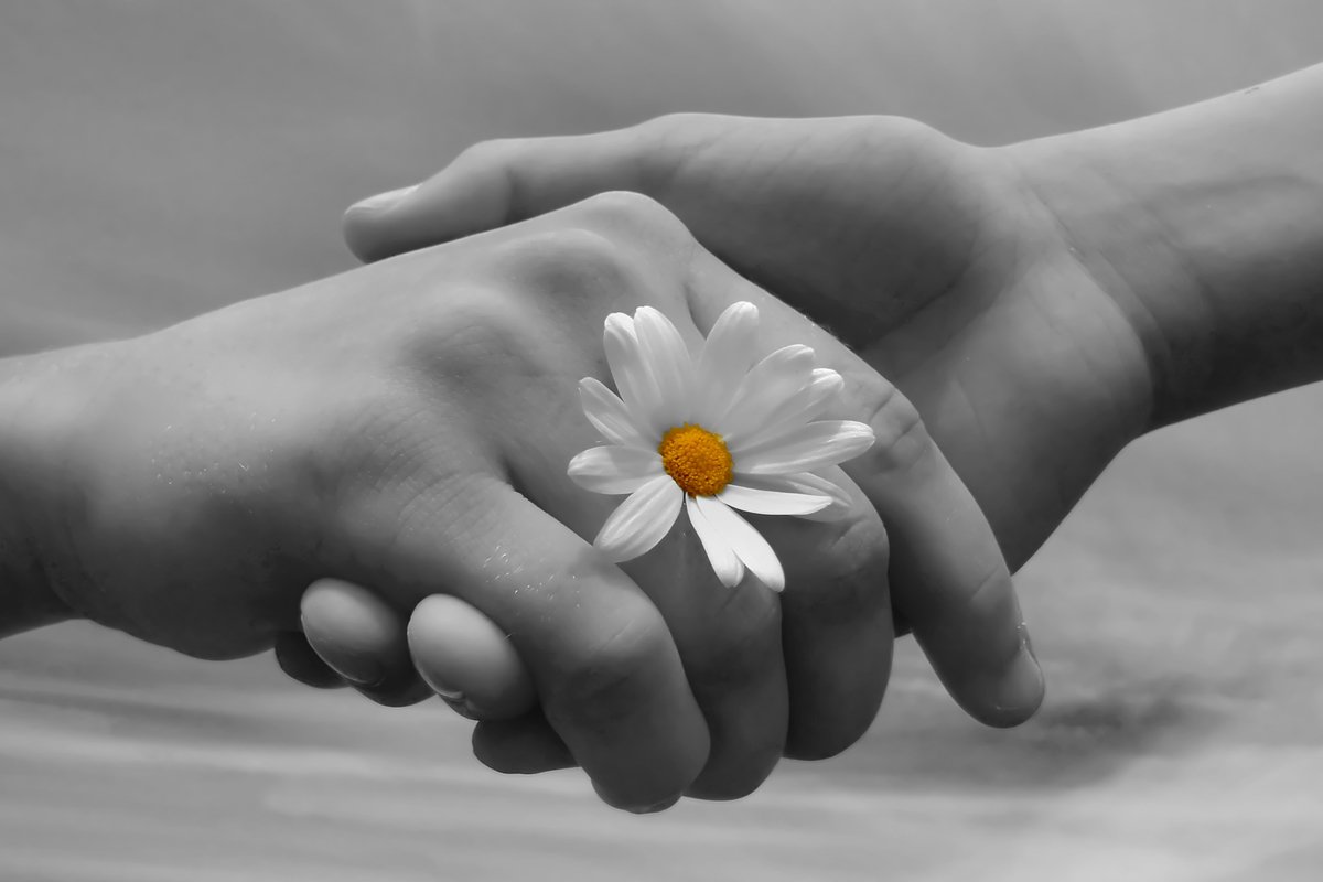 Ромашка в ладошке