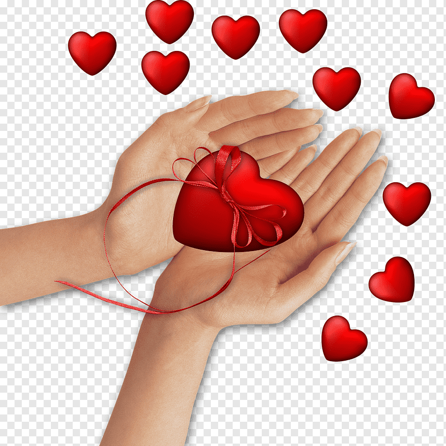 Женские руки с цветами