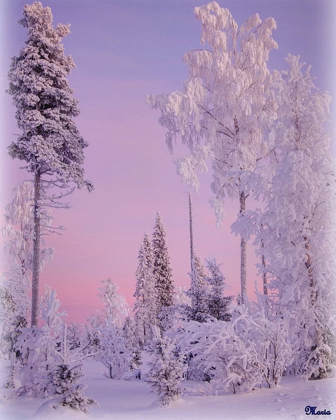 Зимний пейзаж вертикальный