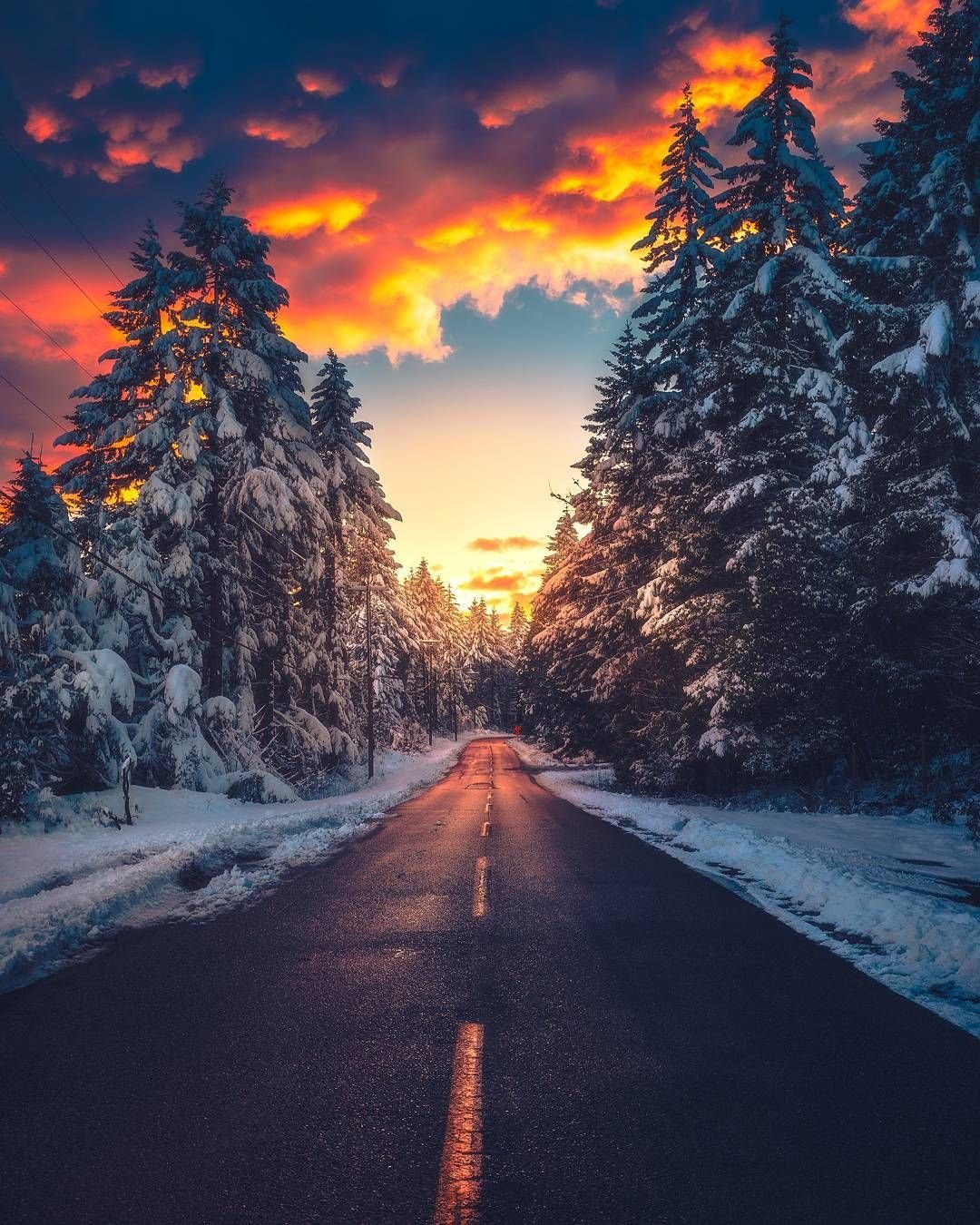 Зимняя дорога в лесу