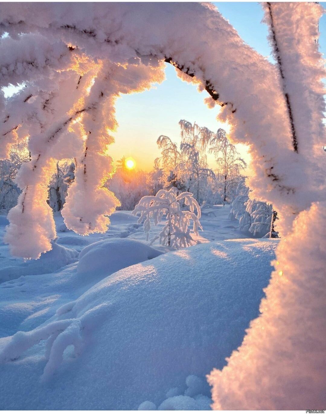 Зимнее утро