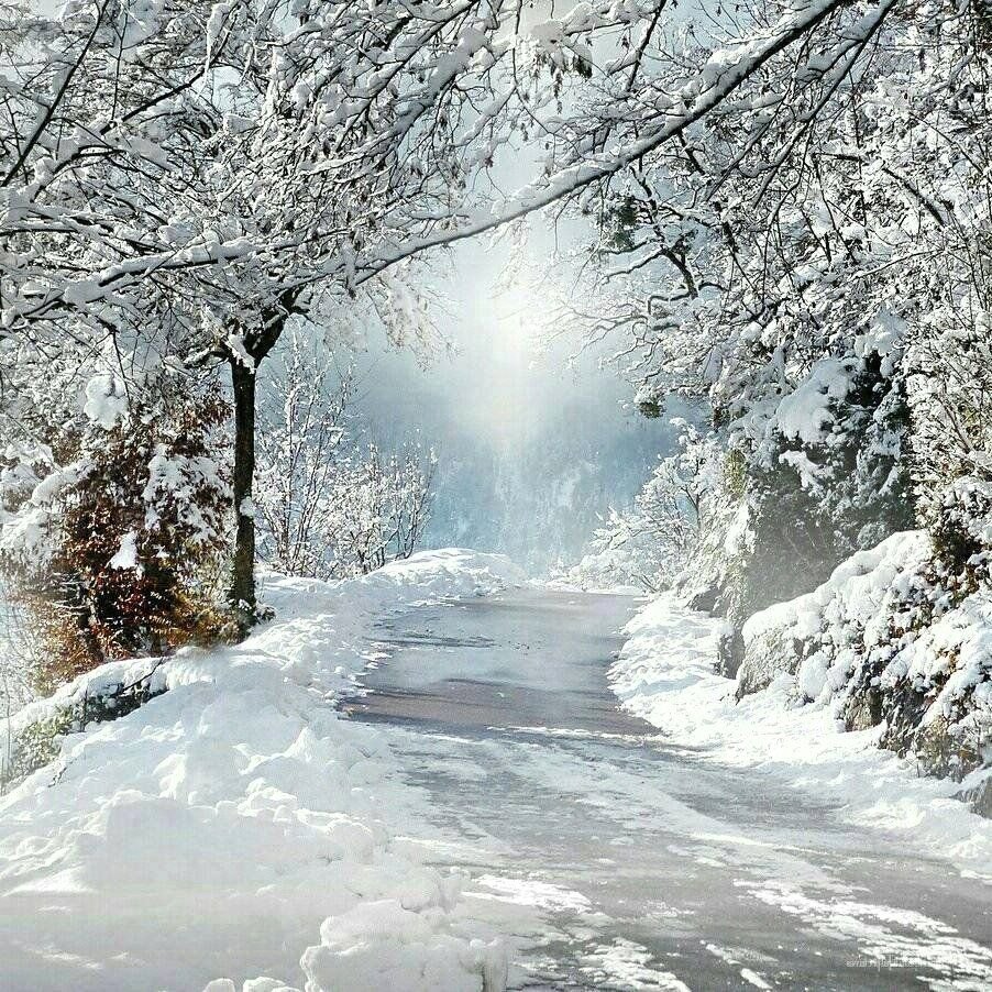 Зимняя дорога