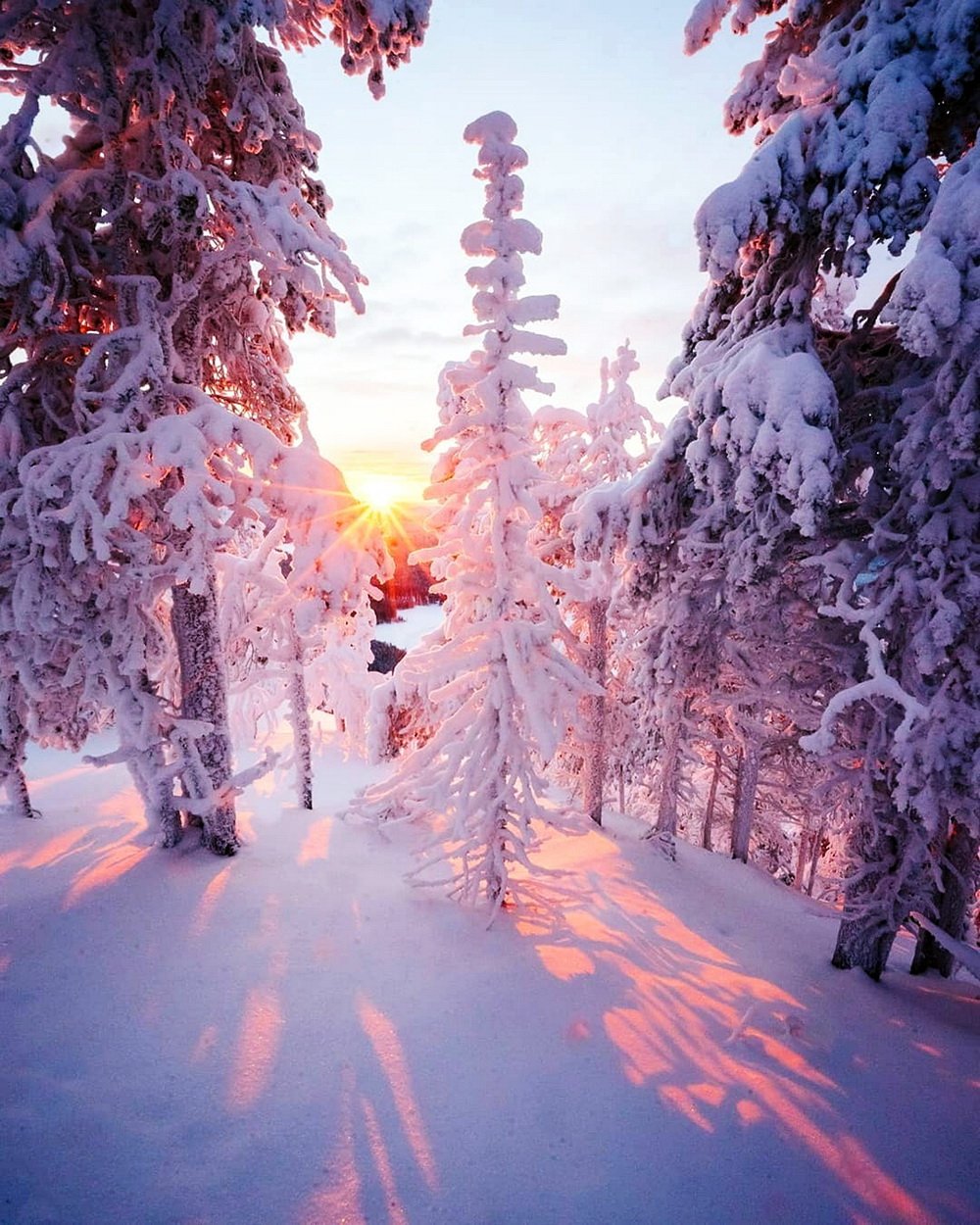 Зимний пейзаж