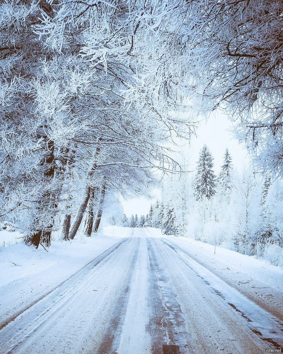 Дорога зимой