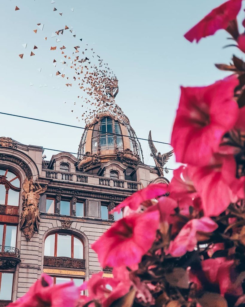 Розовый Петербург