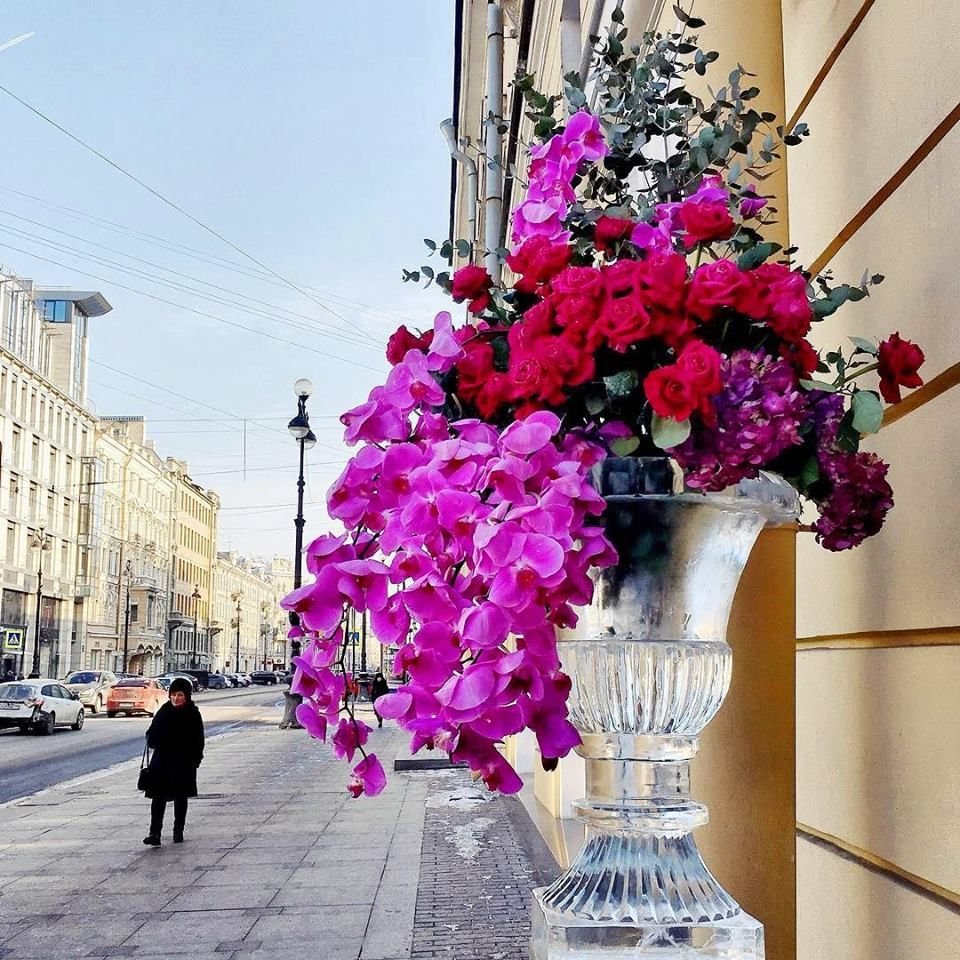 Петербург в цветах