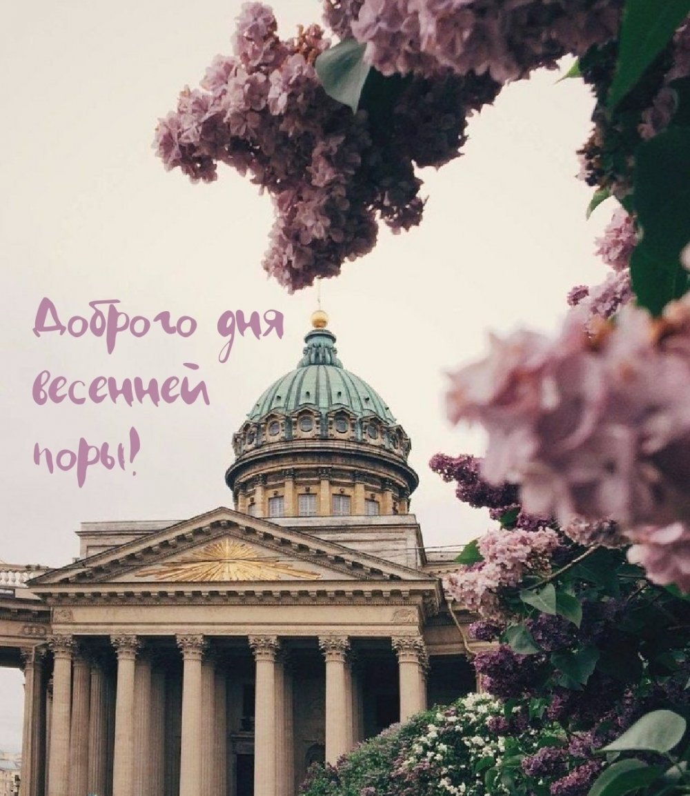 Архитектура Санкт-Петербург Эстетика Санкт-Петербурга