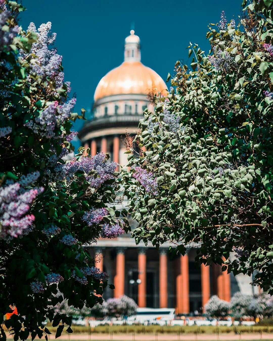 Санкт-Петербург весной