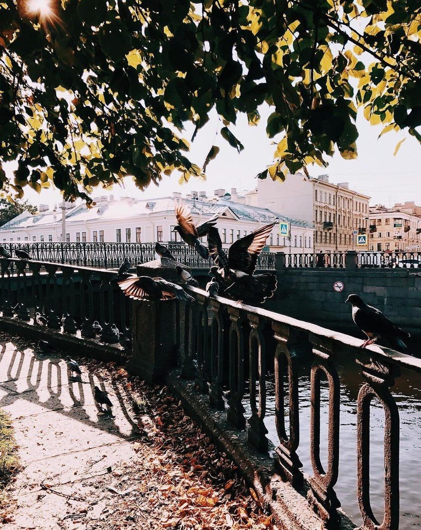 Утренний Питер