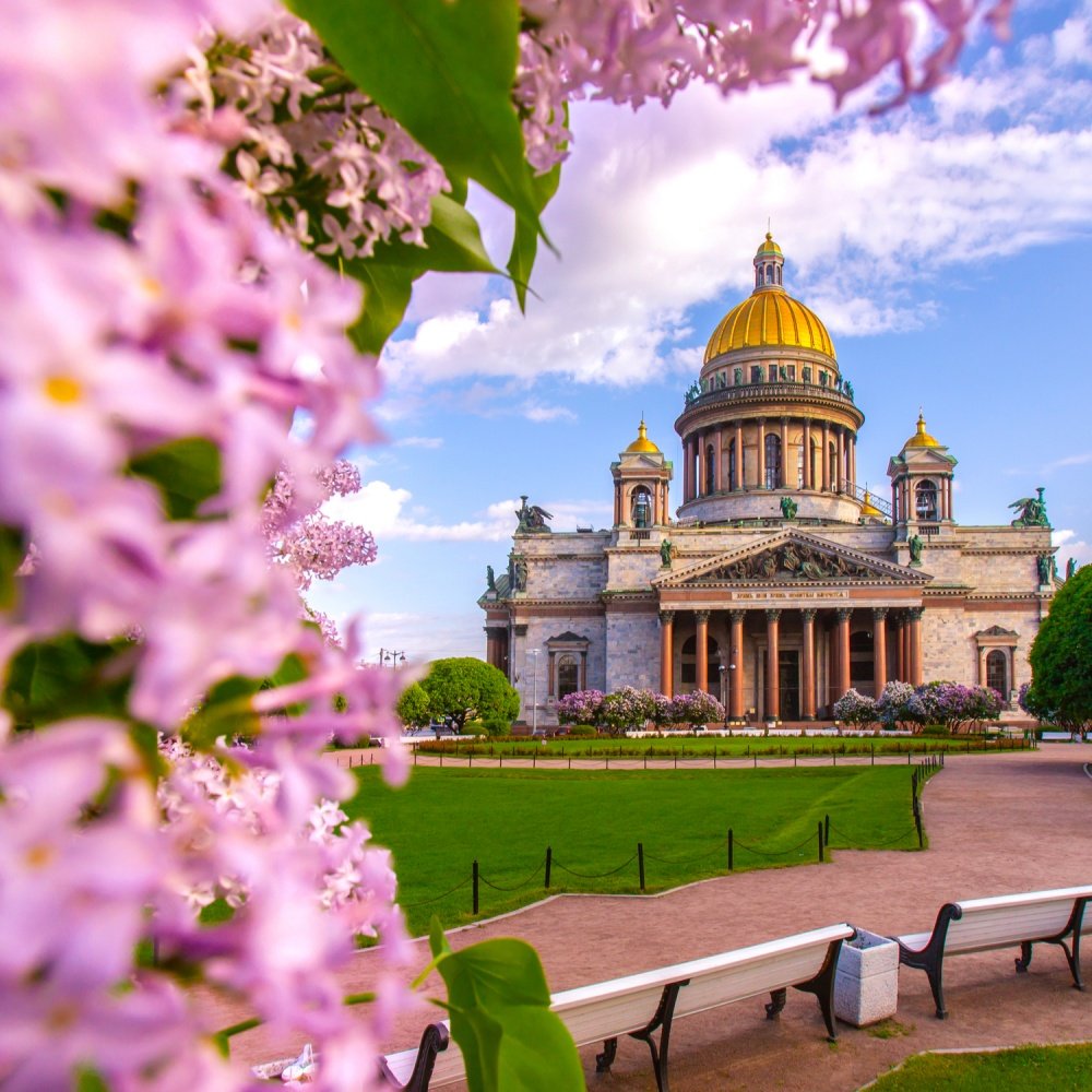 Исаакиевский собор сирень
