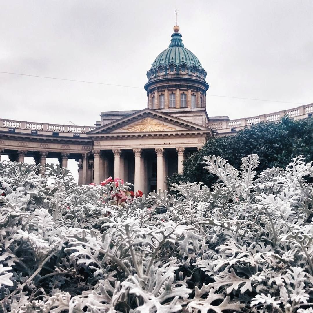 Эстетика Санкт-Петербурга архитектура