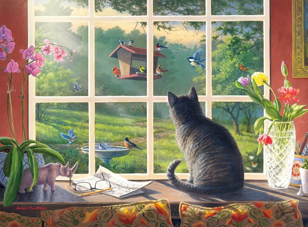 Кот и птицы за окном