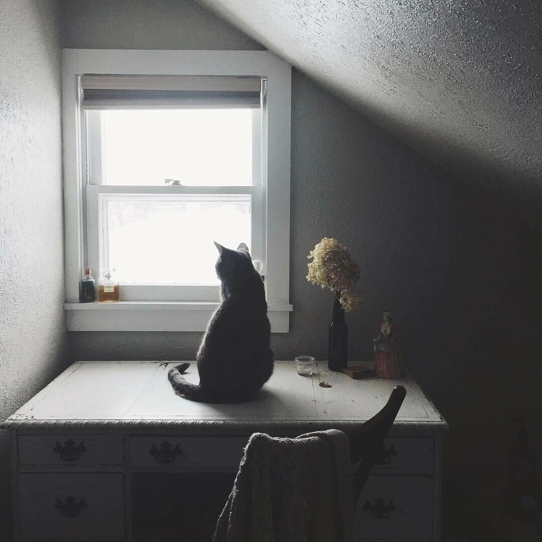 Одинокое утро