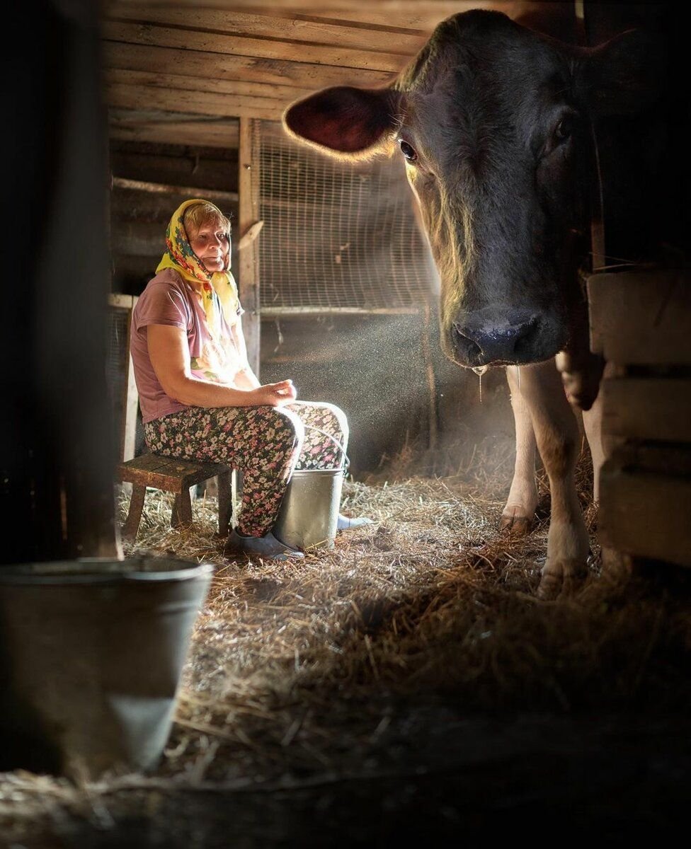 Деревня ностальгия детство