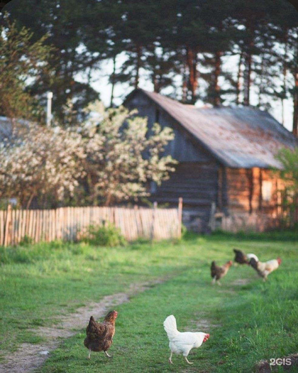 Домик в деревне Эстетика