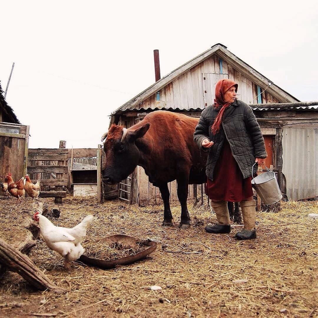 Деревенская жизнь