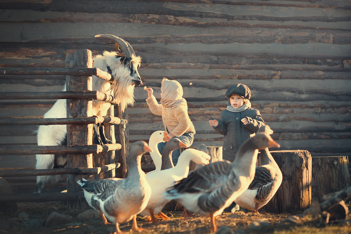 Романтика деревенской жизни