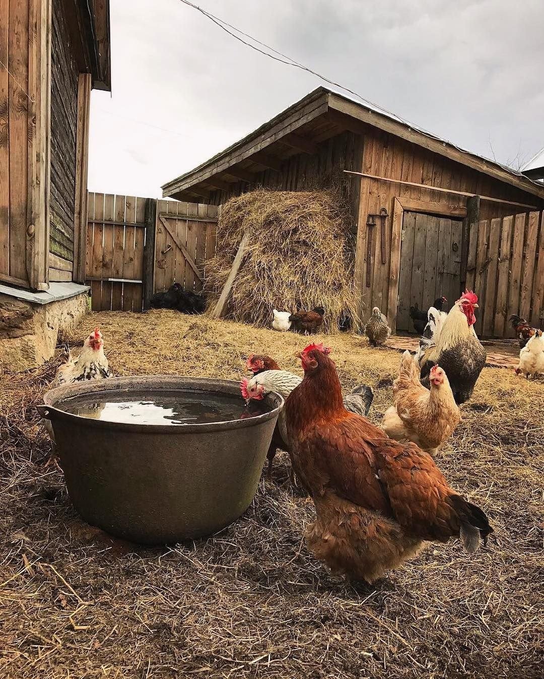 Елена Шумилова фотограф