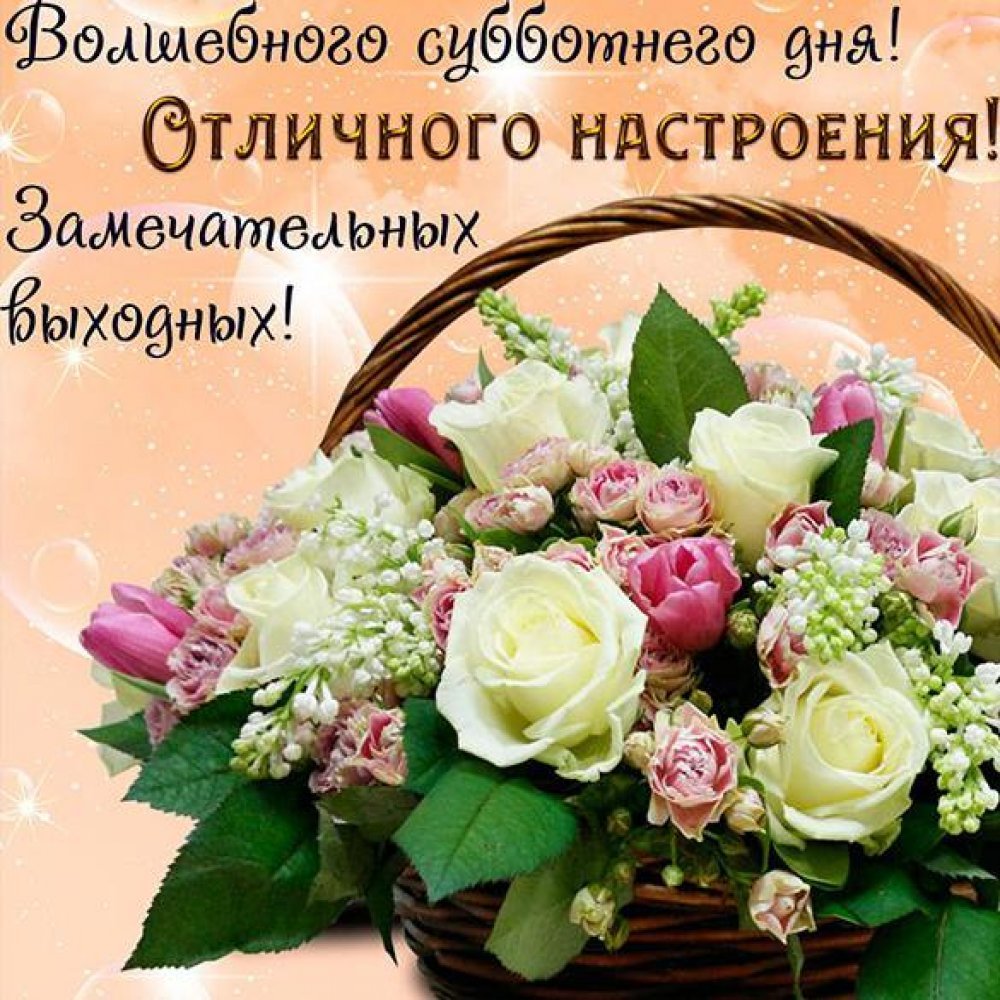 Хорошего субботнего дня и отличного настроения