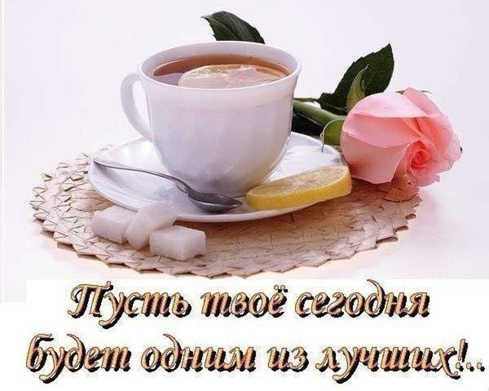 Хорошей субботы и отличного настроения