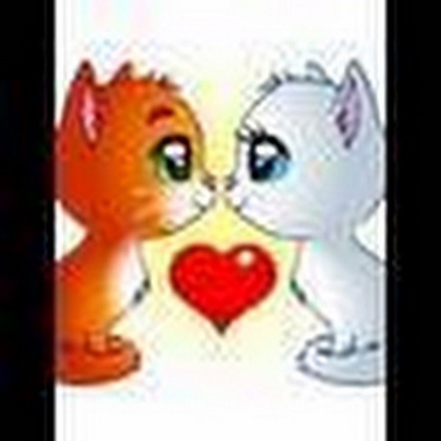 Котик смотрит телевизор