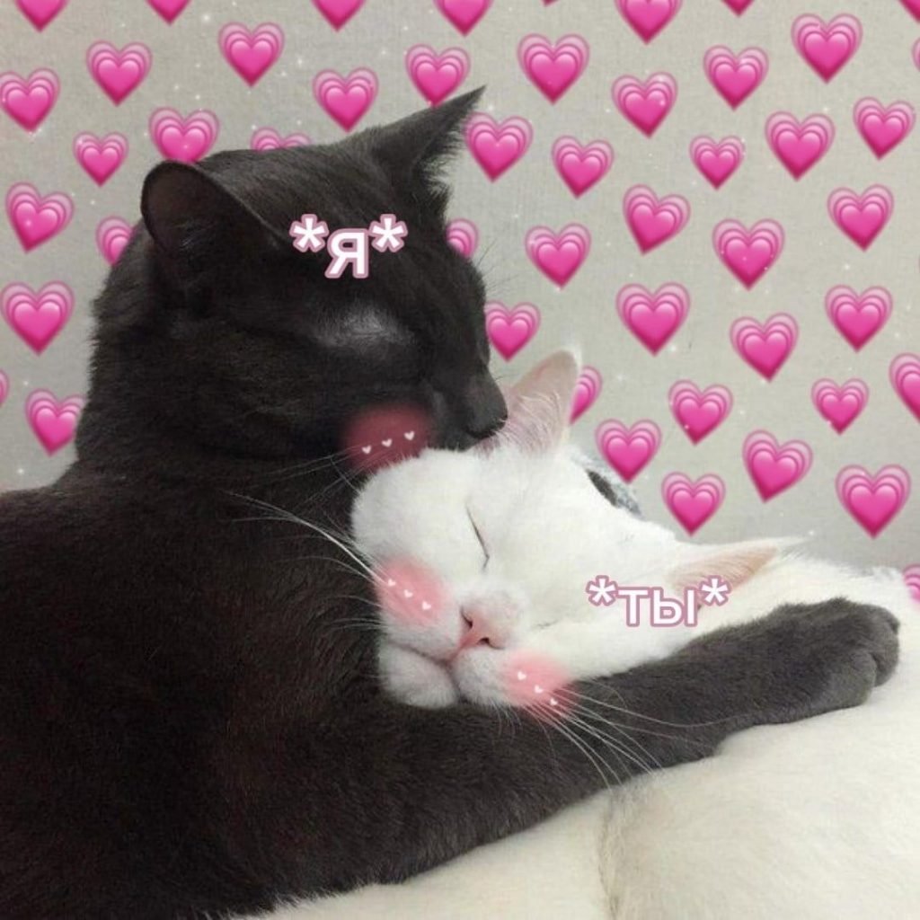 Привет любимый