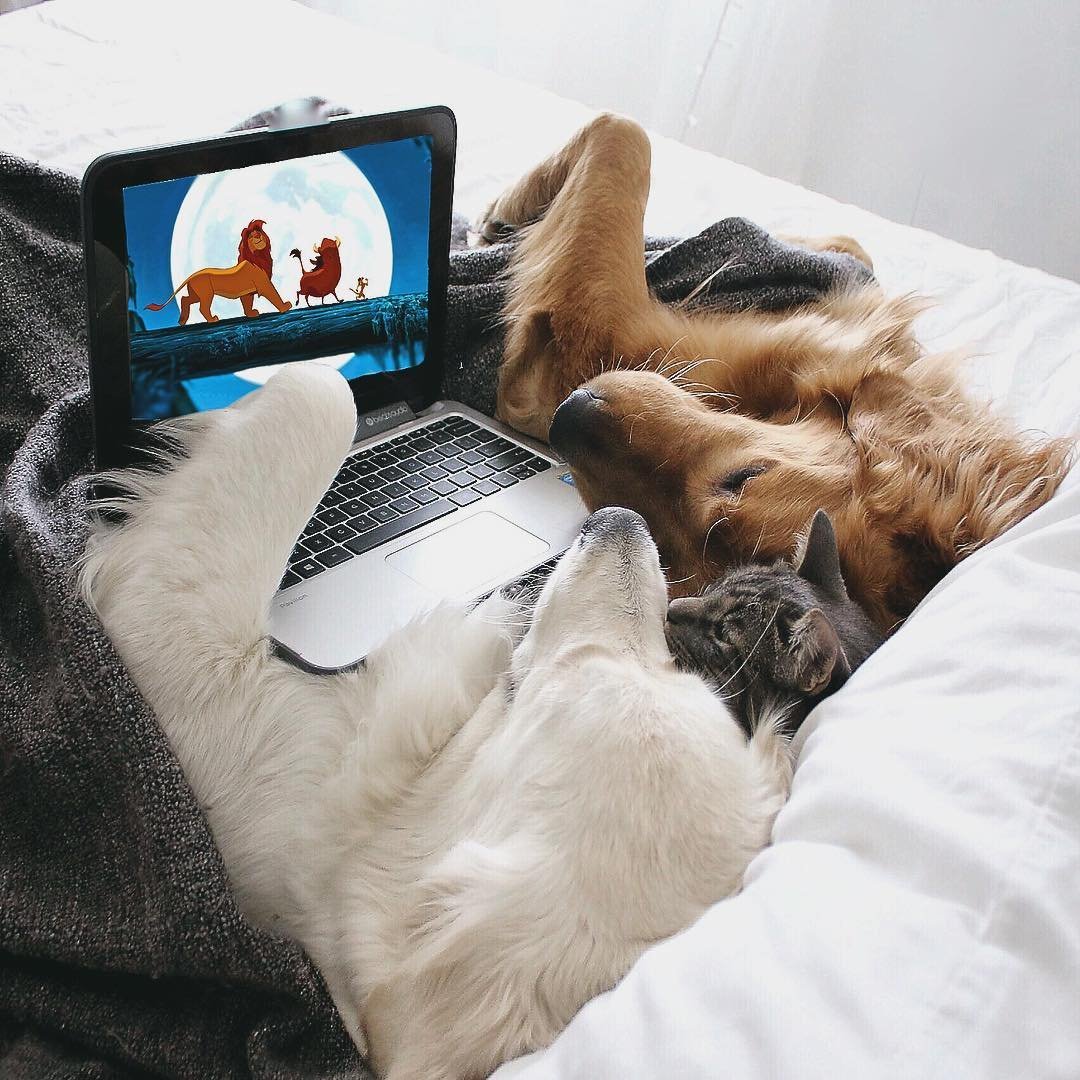 Милые картиночки с надписями