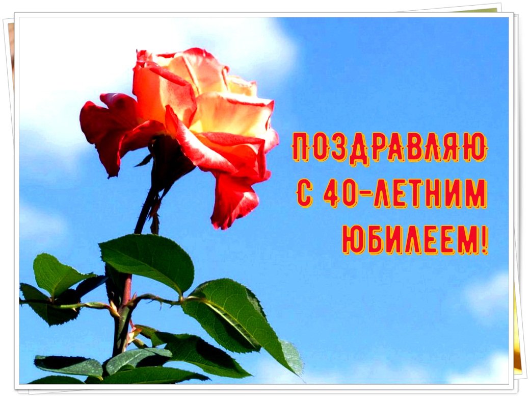 Пожелания свекрови