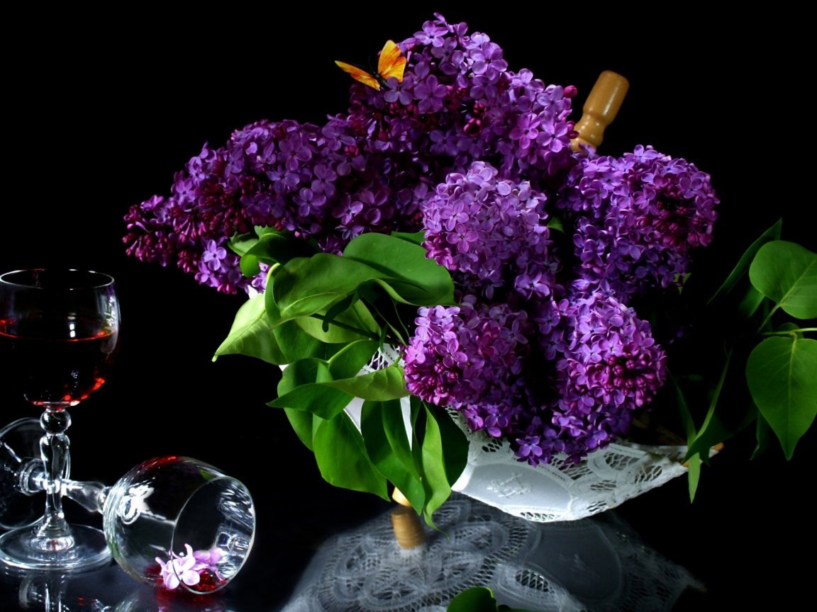 Сиринга нимфа сирени