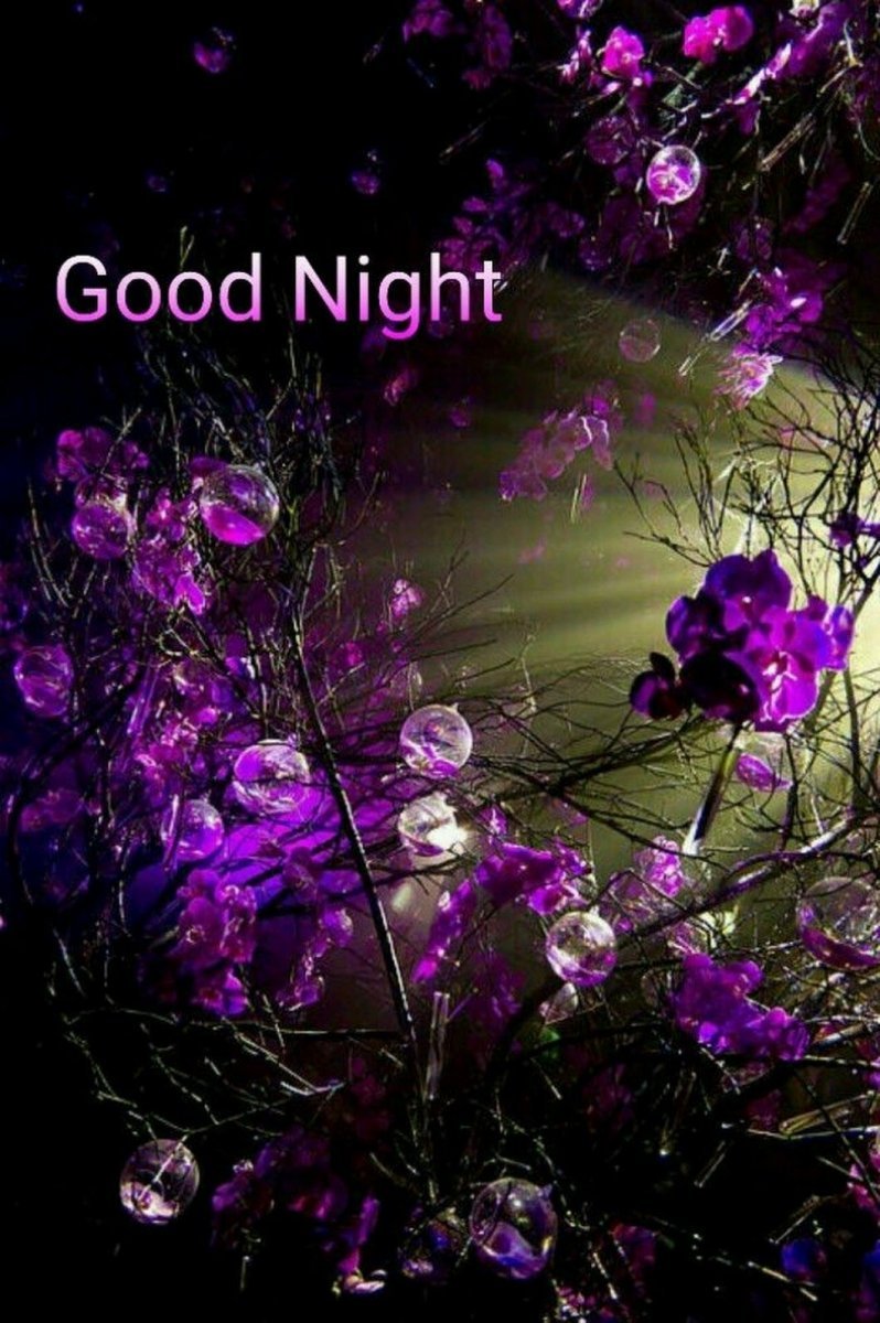 Фиолетовый вечер